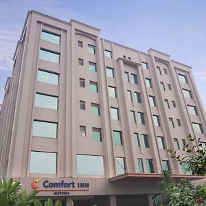 Comfort Inn Alstonia